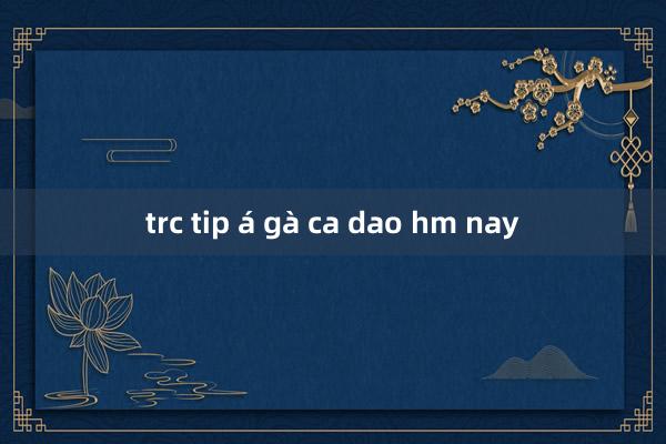 trc tip á gà ca dao hm nay