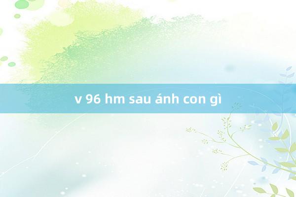 v 96 hm sau ánh con gì