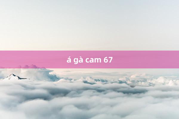 á gà cam 67