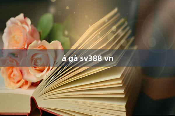 á gà sv388 vn