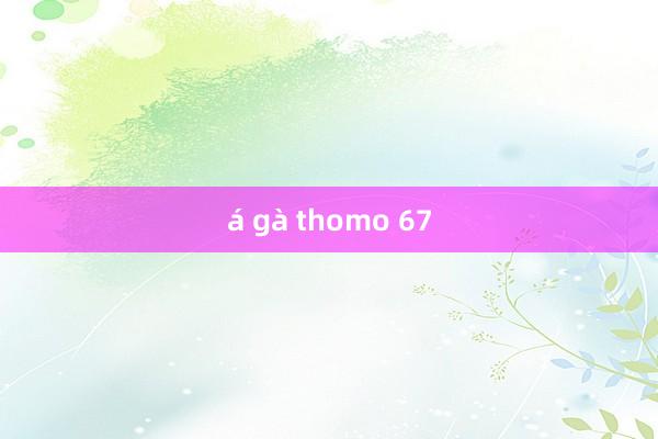 á gà thomo 67