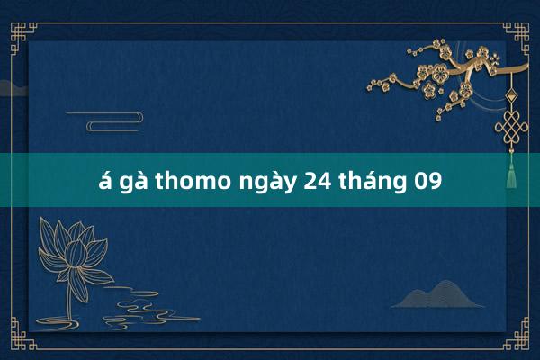 á gà thomo ngày 24 tháng 09