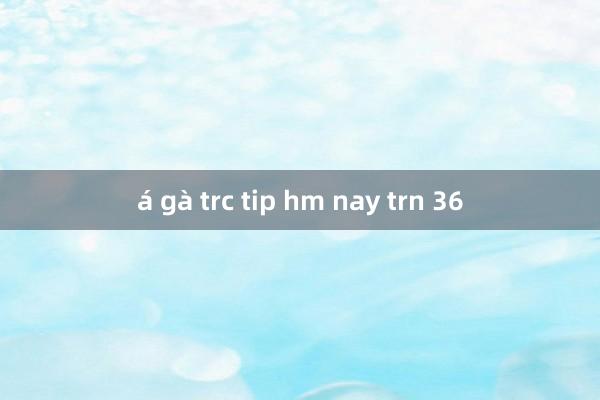 á gà trc tip hm nay trn 36