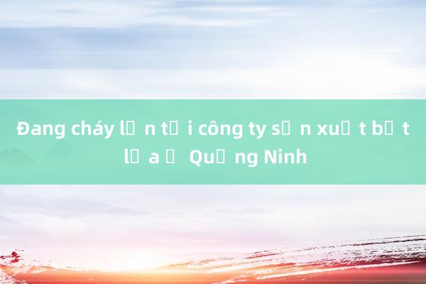 Đang cháy lớn tại công ty sản xuất bật lửa ở Quảng Ninh