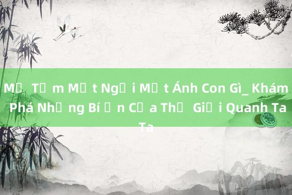 Mở Tầm Mắt Ngồi Một Ánh Con Gì_ Khám Phá Những Bí Ẩn Của Thế Giới Quanh Ta