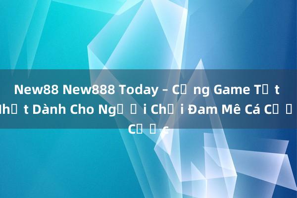 New88 New888 Today – Cổng Game Tốt Nhất Dành Cho Người Chơi Đam Mê Cá Cược