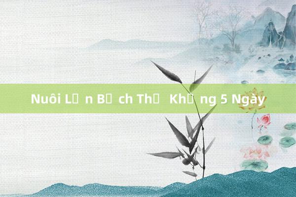 Nuôi Lợn Bạch Thự Khủng 5 Ngày