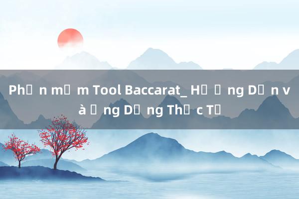 Phần mềm Tool Baccarat_ Hướng Dẫn và Ứng Dụng Thực Tế