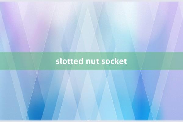 slotted nut socket