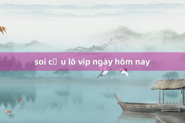 soi cầu lô vip ngày hôm nay