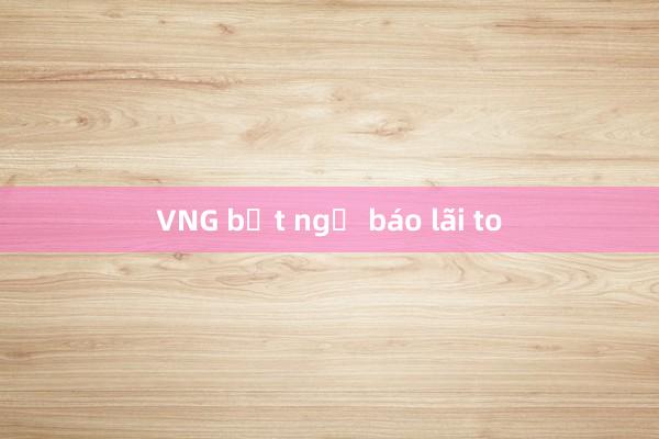 VNG bất ngờ báo lãi to