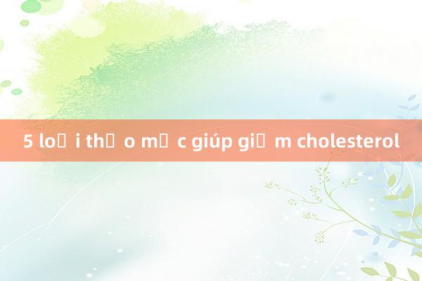 5 loại thảo mộc giúp giảm cholesterol