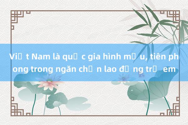 Việt Nam là quốc gia hình mẫu， tiên phong trong ngăn chặn lao động trẻ em